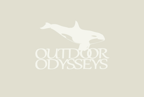 A Day with the Whales: An Interview with an Outdoor Odysseys Guide