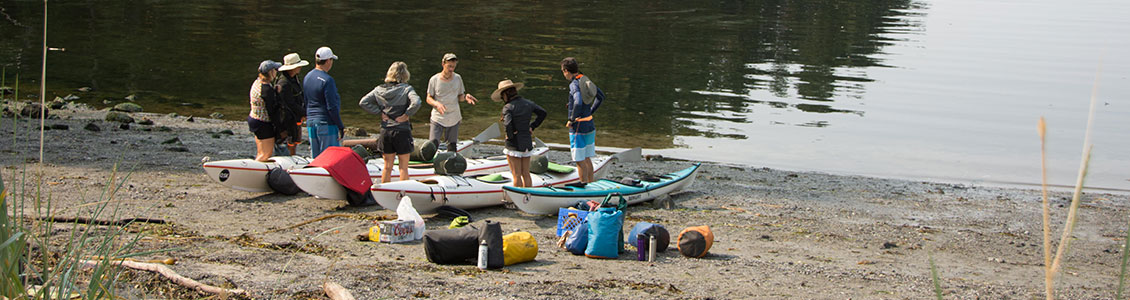 Sea kayak tour group