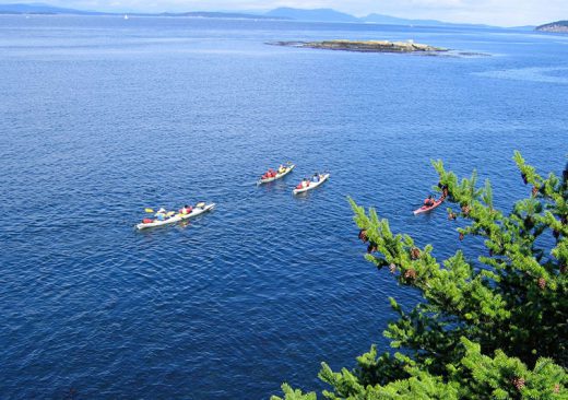 Overhead shot of sea kayakers