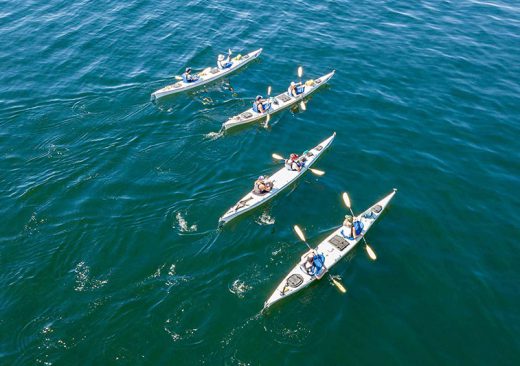 Sea kayakers in Haro Strait