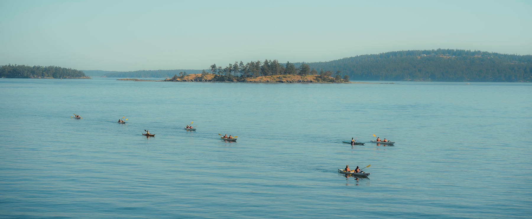 Group of kayakers paddling in calm waters near an island, surrounded by trees and distant hills.